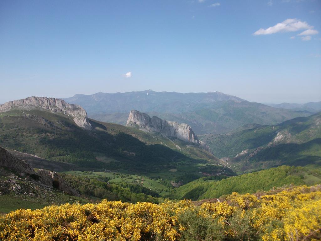 Apartamentos Caloca الغرفة الصورة